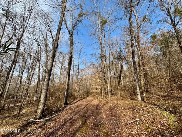 $995,000 | Ms-35, Vaiden, MS 39176