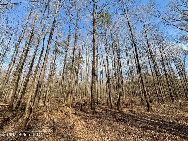 $995,000 | Ms-35, Vaiden, MS 39176