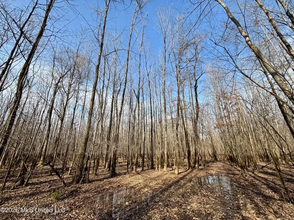 $995,000 | Ms-35, Vaiden, MS 39176