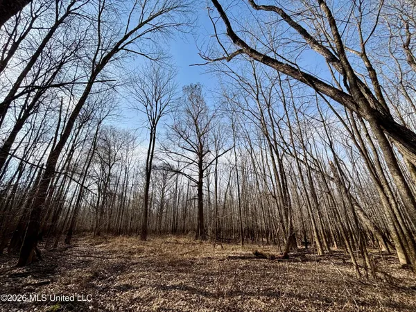 $995,000 | Ms-35, Vaiden, MS 39176