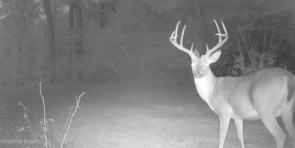 $995,000 | Ms-35, Vaiden, MS 39176