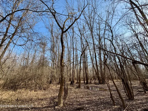 $995,000 | Ms-35, Vaiden, MS 39176