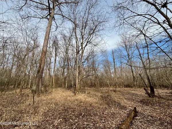 $995,000 | Ms-35, Vaiden, MS 39176