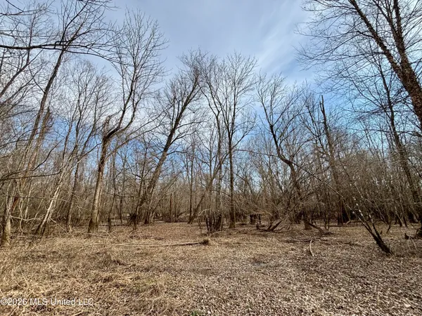 $995,000 | Ms-35, Vaiden, MS 39176