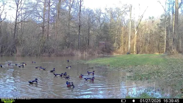 $995,000 | Ms-35, Vaiden, MS 39176