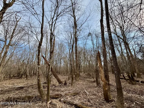 $995,000 | Ms-35, Vaiden, MS 39176