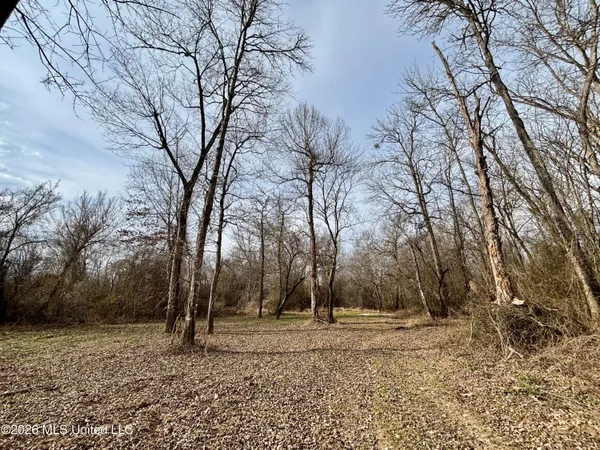 $995,000 | Ms-35, Vaiden, MS 39176