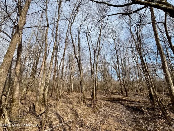 $995,000 | Ms-35, Vaiden, MS 39176