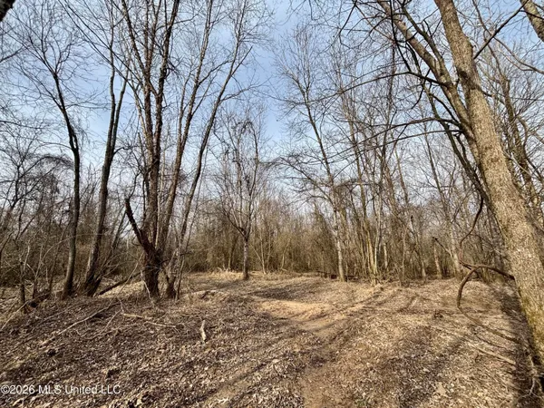 $995,000 | Ms-35, Vaiden, MS 39176