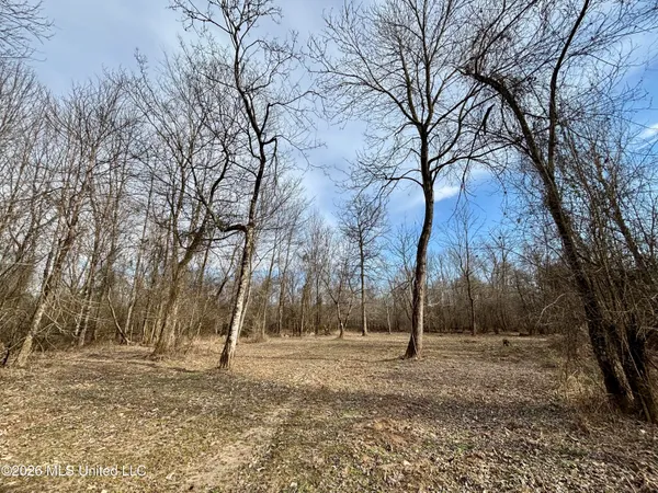 $995,000 | Ms-35, Vaiden, MS 39176