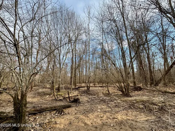 $995,000 | Ms-35, Vaiden, MS 39176