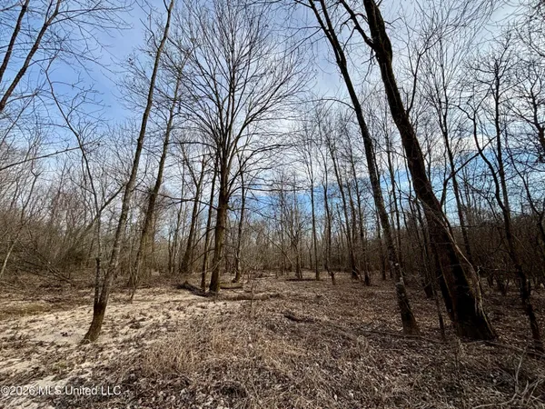 $995,000 | Ms-35, Vaiden, MS 39176