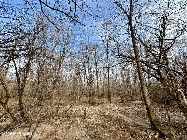 $995,000 | Ms-35, Vaiden, MS 39176