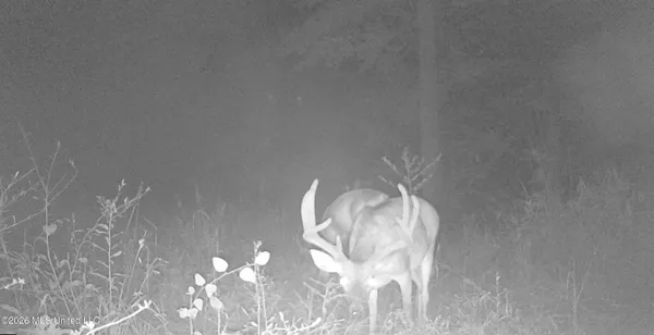 $995,000 | Ms-35, Vaiden, MS 39176