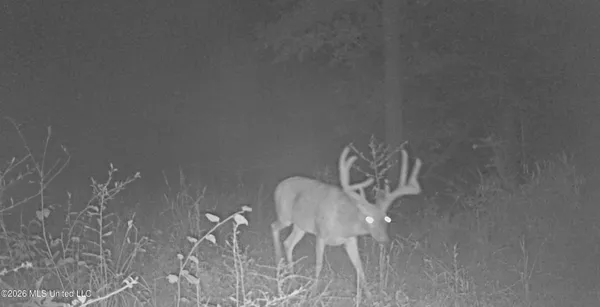 $995,000 | Ms-35, Vaiden, MS 39176