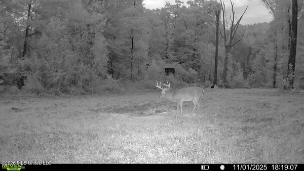 $995,000 | Ms-35, Vaiden, MS 39176