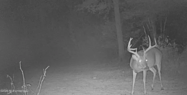 $995,000 | Ms-35, Vaiden, MS 39176