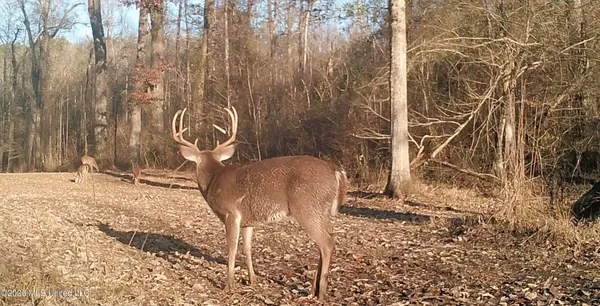 $995,000 | Ms-35, Vaiden, MS 39176