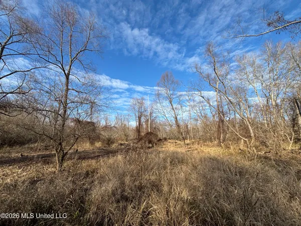 $995,000 | Ms-35, Vaiden, MS 39176