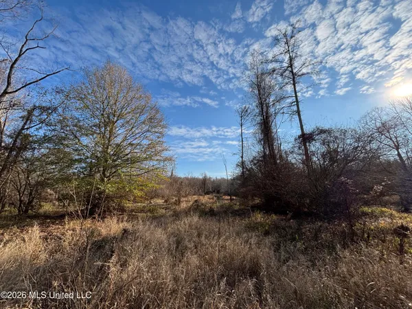 $995,000 | Ms-35, Vaiden, MS 39176