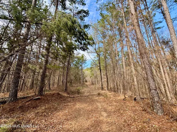 $995,000 | Ms-35, Vaiden, MS 39176