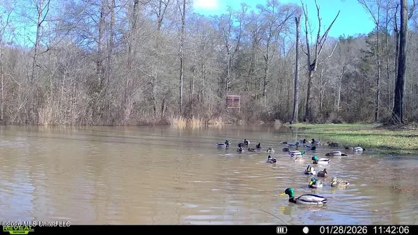 $995,000 | Ms-35, Vaiden, MS 39176