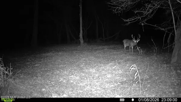 $995,000 | Ms-35, Vaiden, MS 39176