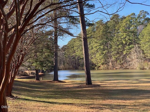 706 West Front Street Lillington, NC 27546 - Photo 47 of 51 IMG_1781