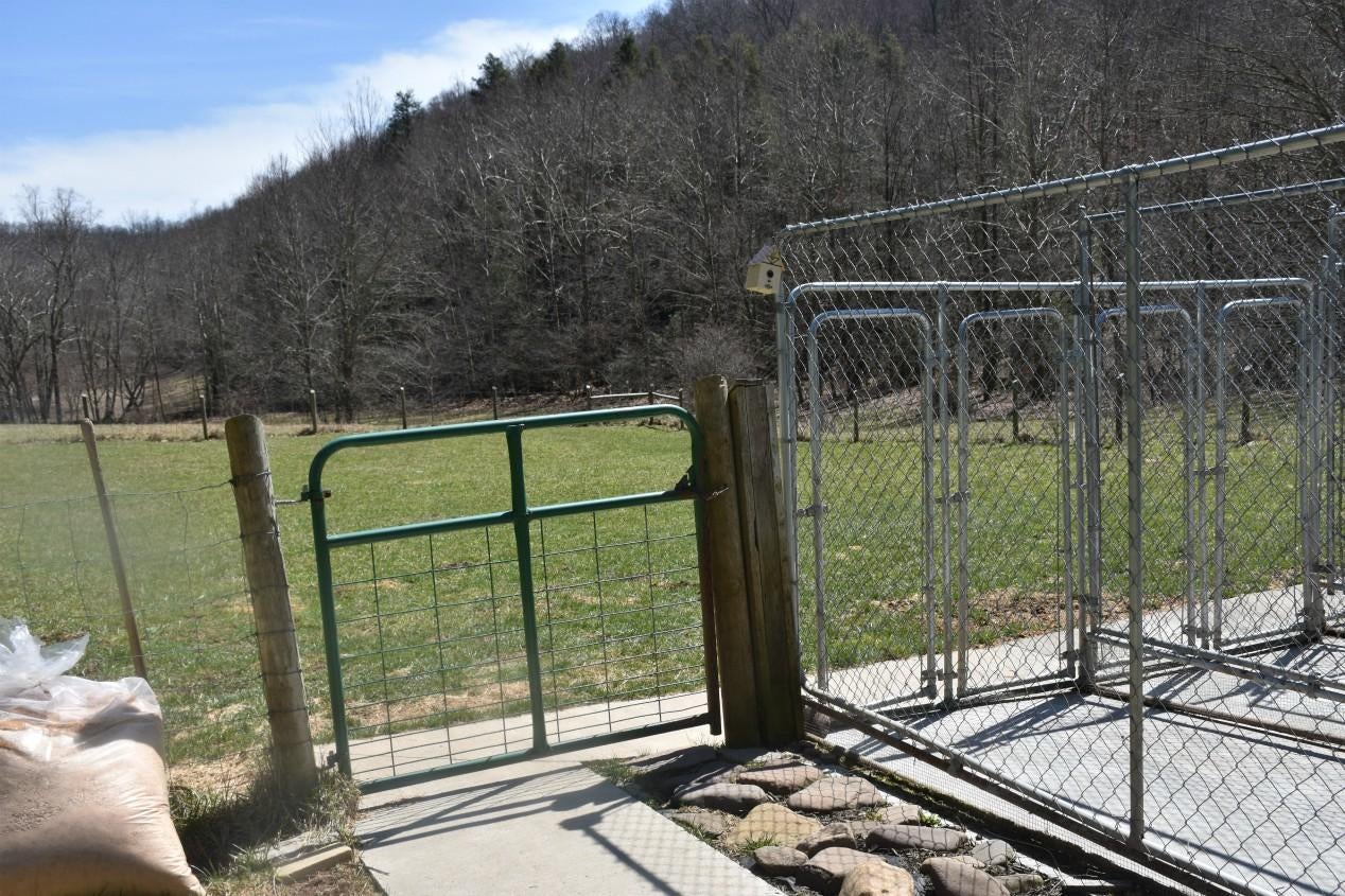 684 Fitzwater Branch Road Renick, WV 24966 - Photo 87 of 97 Gallery Image 87