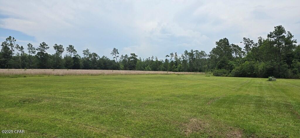 320 Freeman Rouse Road Wewahitchka, FL 32465 - Photo 23 of 25