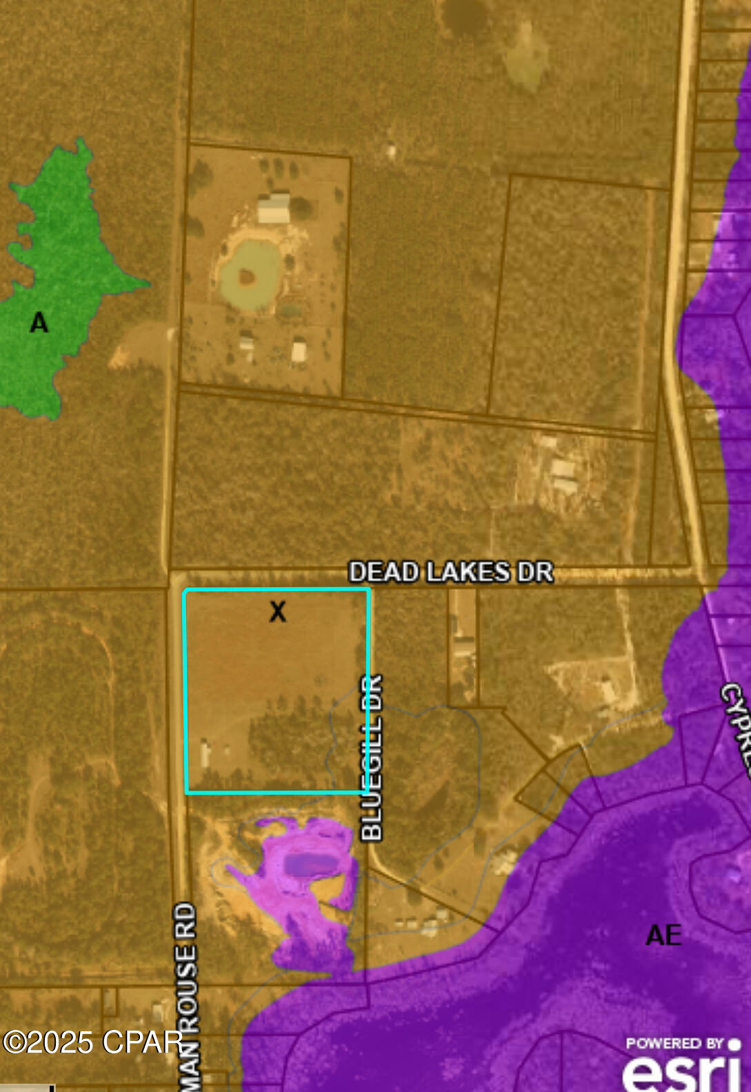 320 Freeman Rouse Road Wewahitchka, FL 32465 - Photo 25 of 25