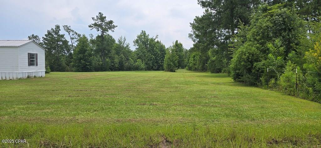 320 Freeman Rouse Road Wewahitchka, FL 32465 - Photo 4 of 25