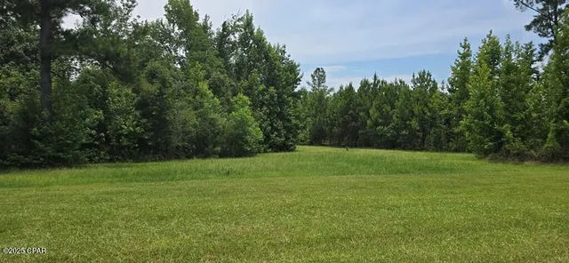 $215,000 | 320 Freeman Rouse Road, Wewahitchka, FL 32465