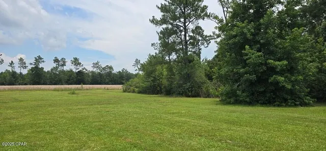 $215,000 | 320 Freeman Rouse Road, Wewahitchka, FL 32465