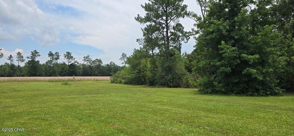 320 Freeman Rouse Road Wewahitchka, FL 32465 - Photo 8 of 25