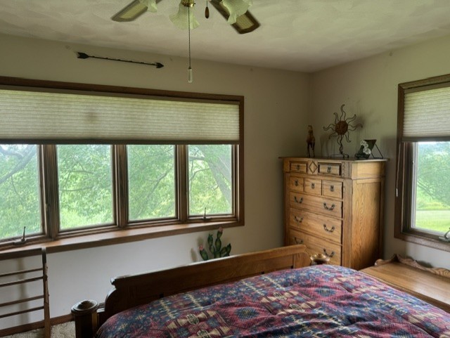 428 Overlook Court Geneseo, IL 61254 - Photo 32 of 55
