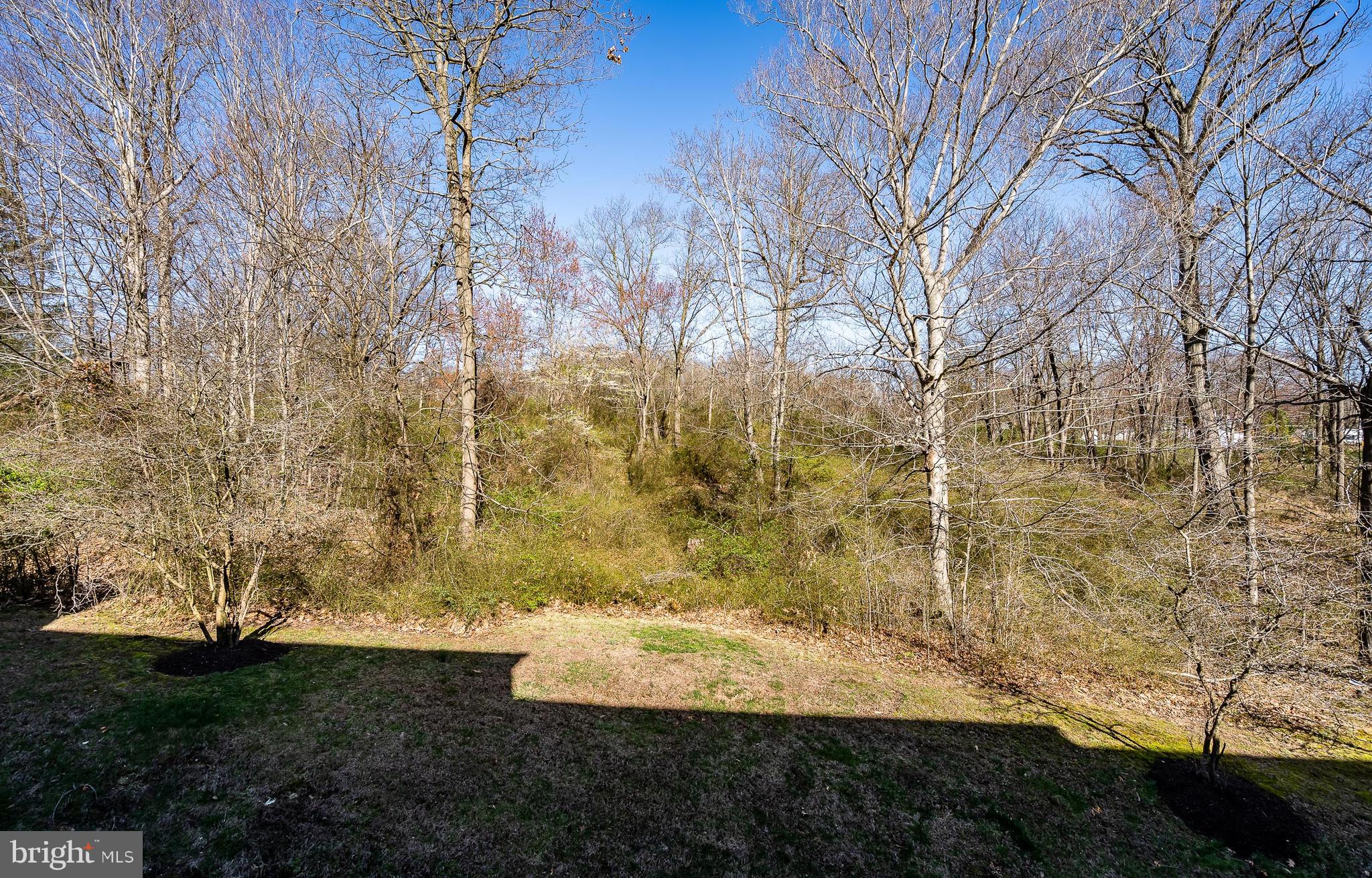 20 Longview Lane Newtown Square, PA 19073 - Photo 42 of 42 Back View