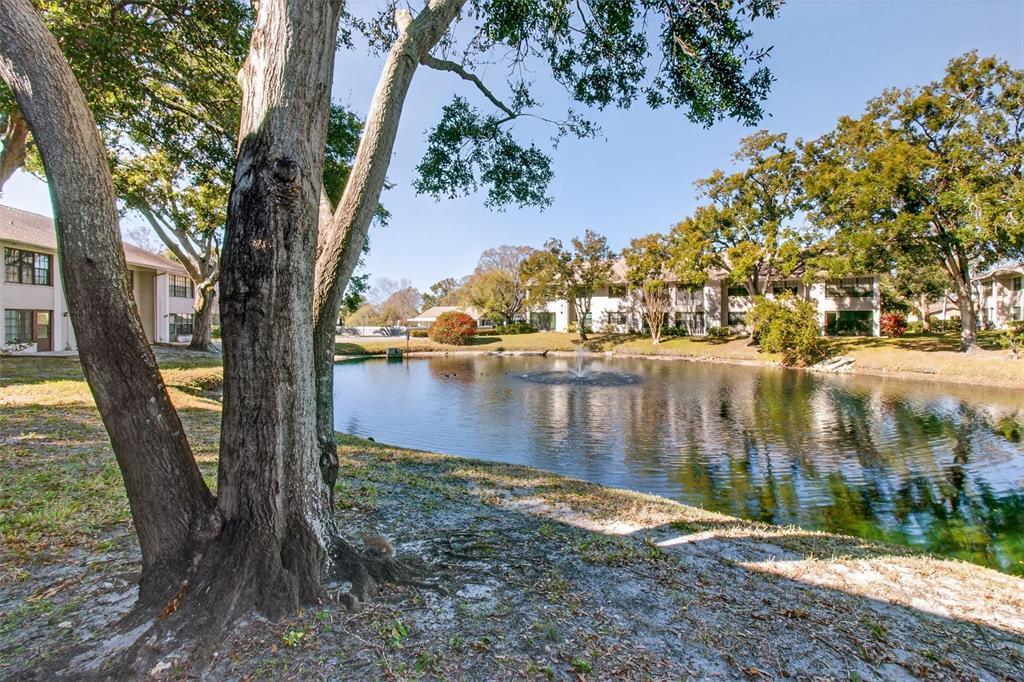 2150 Elm Street, Unit 603 Dunedin, FL 34698 - Photo 27 of 33