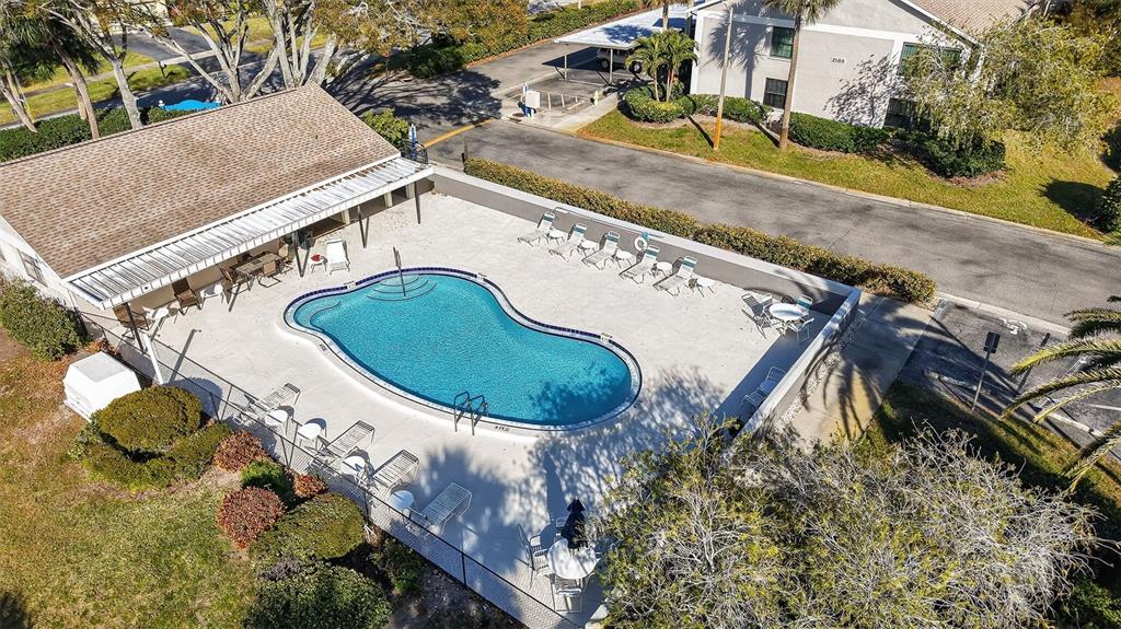 2150 Elm Street, Unit 603 Dunedin, FL 34698 - Photo 29 of 33