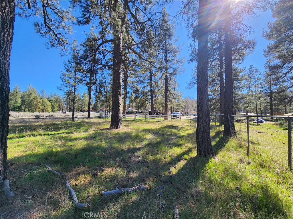 59250 Tunnel Spring Road Mountain Center, CA 92561 - Photo 1 of 1 Gallery Image 1