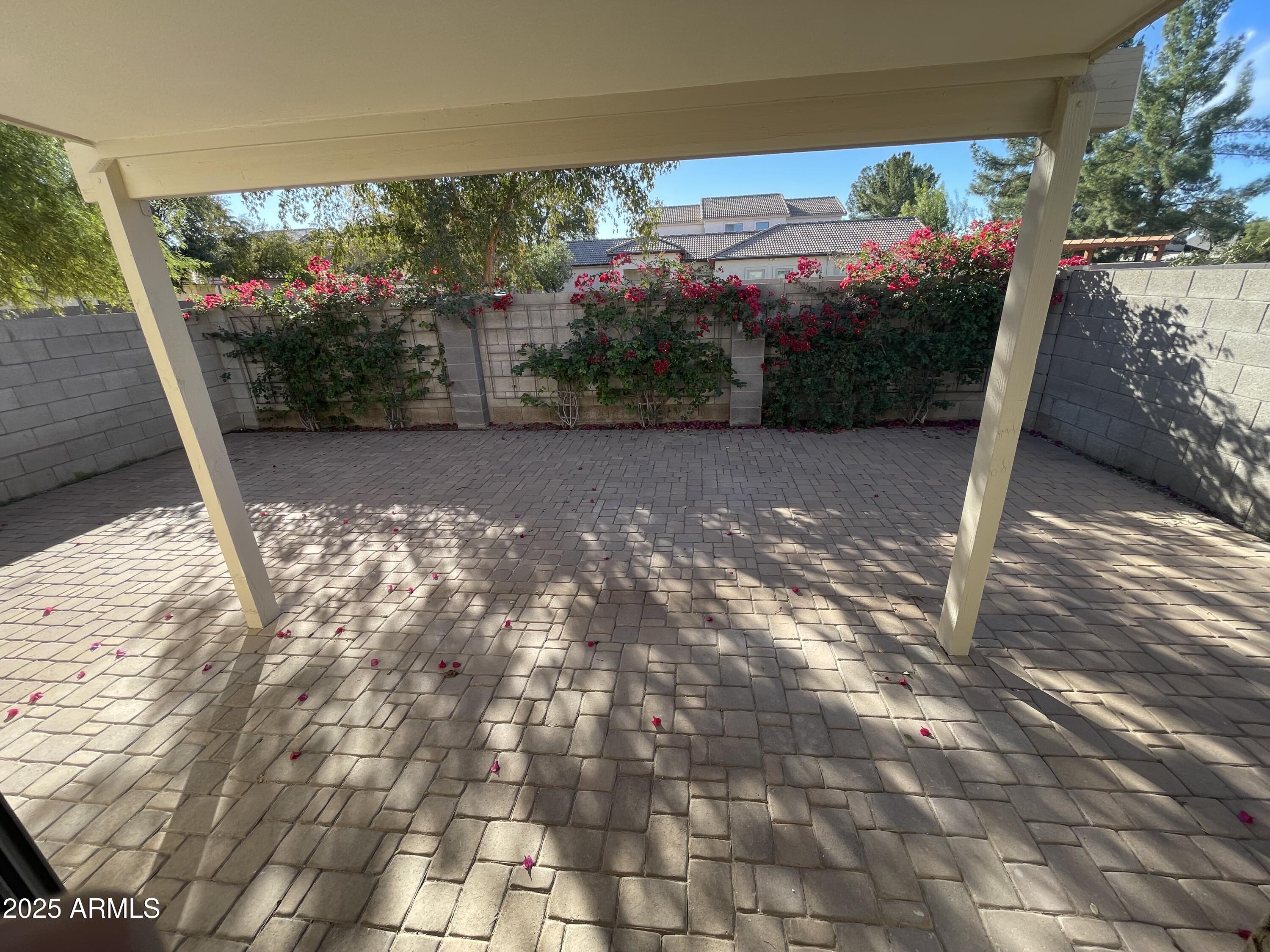 3803 West Commonwealth Avenue Chandler, AZ 85226 - Photo 13 of 15 a view of outdoor space and yard