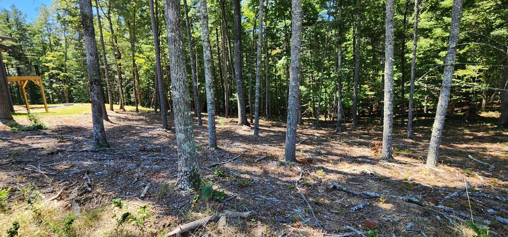 Lot 51 Ridge Drive Morganton, GA 30560 - Photo 6 of 6 a view of outdoor space with green space