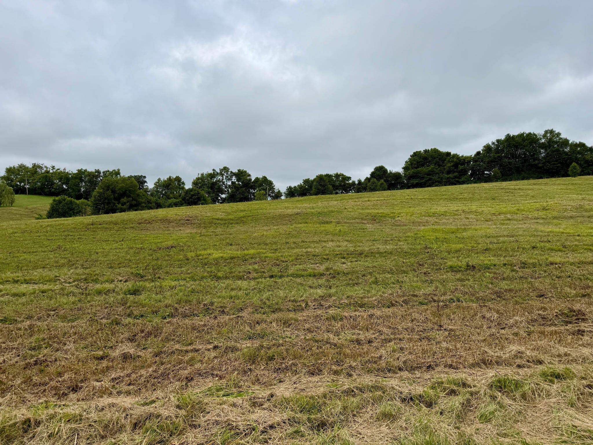 9 A Walnut Grove Road Carlisle, KY 40311 - Photo 11 of 19 11