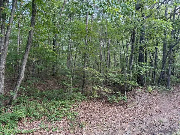 $25,000 | 33452 Highway 157, Menlo, GA 30731