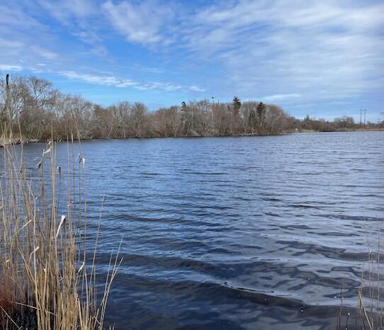 32 Locust Road Orleans, MA 02653 - Photo 1 of 15 IMG_9617 (2)