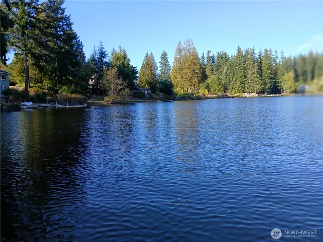 a view of a lake with houses in the background