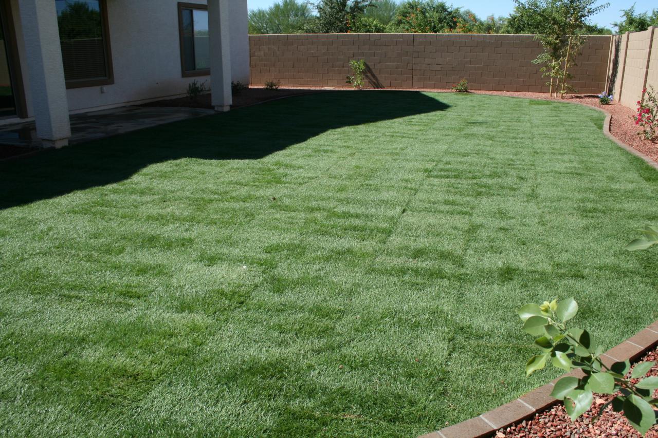 13662 West Redfield Road Surprise, AZ 85379 - Photo 11 of 13 Backyard 2