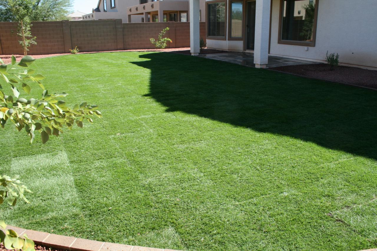 13662 West Redfield Road Surprise, AZ 85379 - Photo 12 of 13 Backyard 3