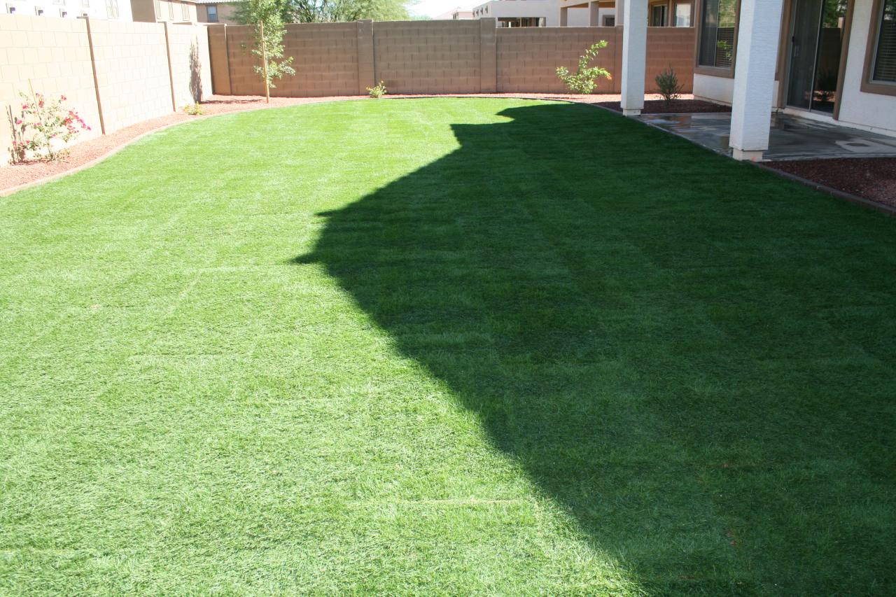 13662 West Redfield Road Surprise, AZ 85379 - Photo 13 of 13 Backyard 4
