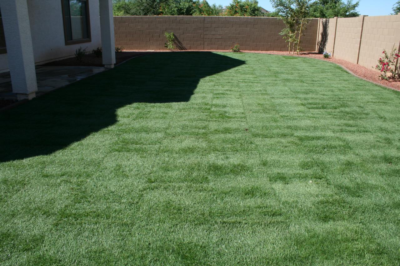 13662 West Redfield Road Surprise, AZ 85379 - Photo 10 of 13 Backyard 1
